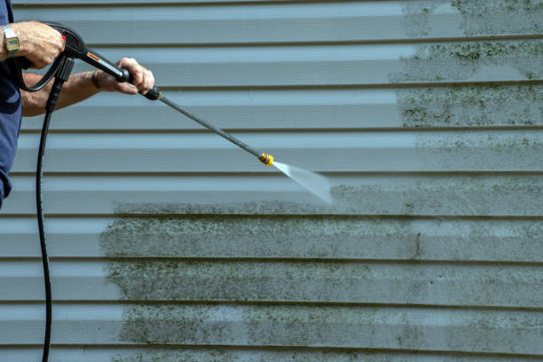 Best Affordable Pressure Washing  in Mount Carmel, IL